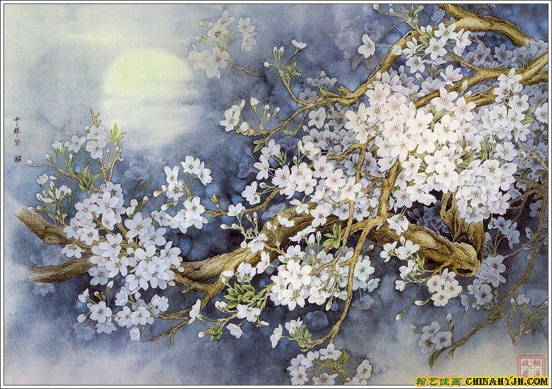 周中耀 工笔花鸟画欣赏之一(22P) - 桃源居士 - 桃源居