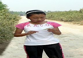 毛毛草