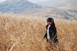 �ƽ���