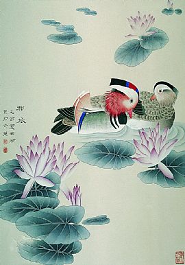 鸳鸯戏水