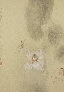 ʪ紵