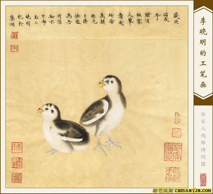 在新窗口中浏览此图片