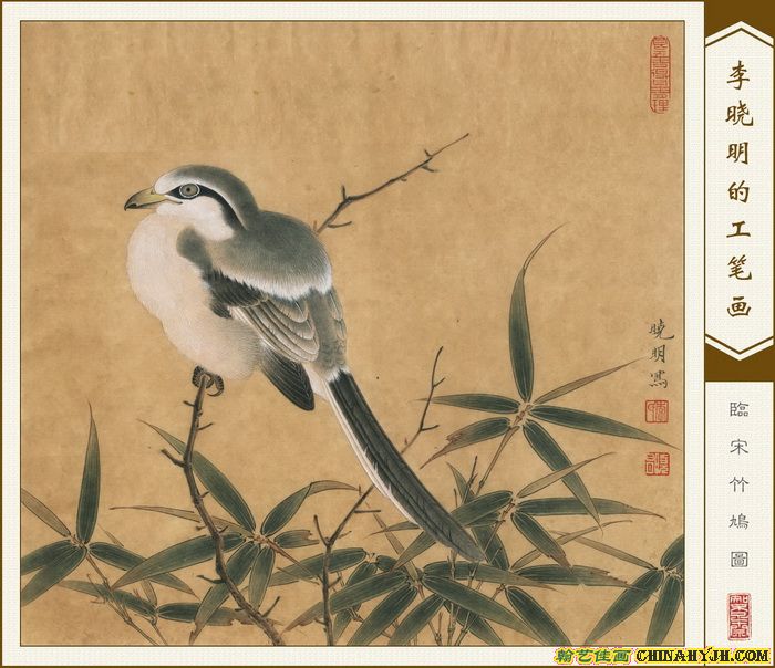 临宋竹鸠图